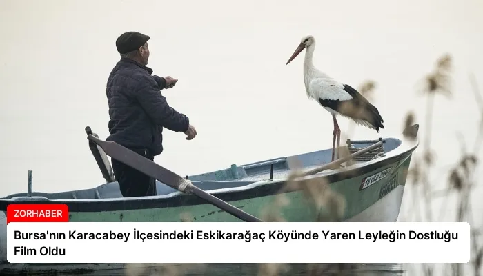 Bursa’nın Karacabey İlçesindeki Eskikarağaç Köyünde Yaren Leyleğin Dostluğu Film Oldu