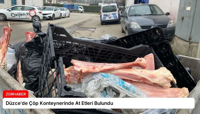 Düzce’de Çöp Konteynerinde At Etleri Bulundu