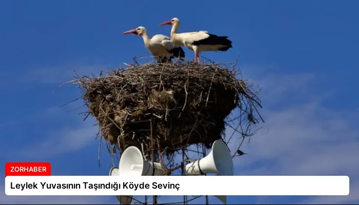 Leylek Yuvasının Taşındığı Köyde Sevinç