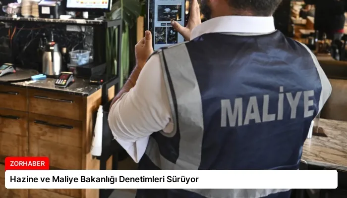 Hazine ve Maliye Bakanlığı Denetimleri Sürüyor