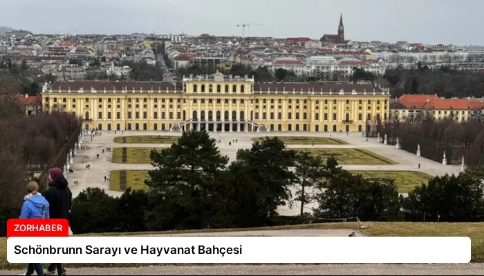 Schönbrunn Sarayı ve Hayvanat Bahçesi