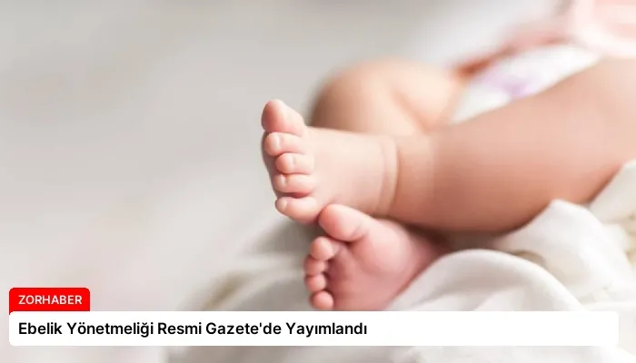 Ebelik Yönetmeliği Resmi Gazete’de Yayımlandı