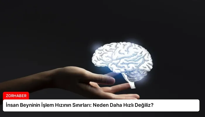 İnsan Beyninin İşlem Hızının Sınırları: Neden Daha Hızlı Değiliz?