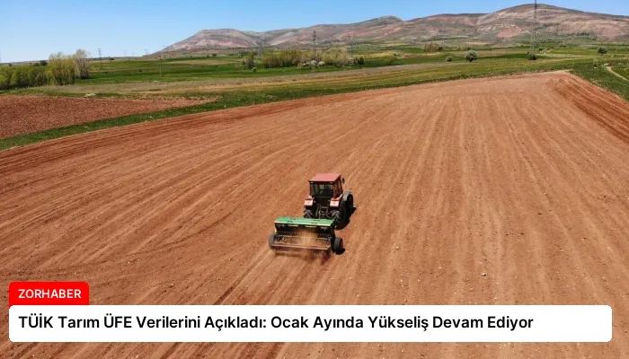 TÜİK Tarım ÜFE Verilerini Açıkladı: Ocak Ayında Yükseliş Devam Ediyor