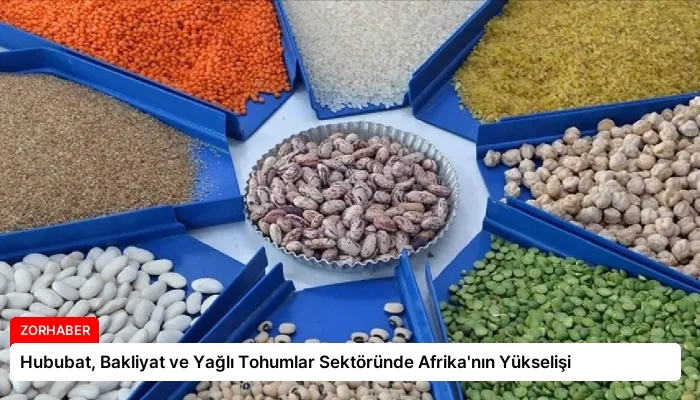 Hububat, Bakliyat ve Yağlı Tohumlar Sektöründe Afrika’nın Yükselişi