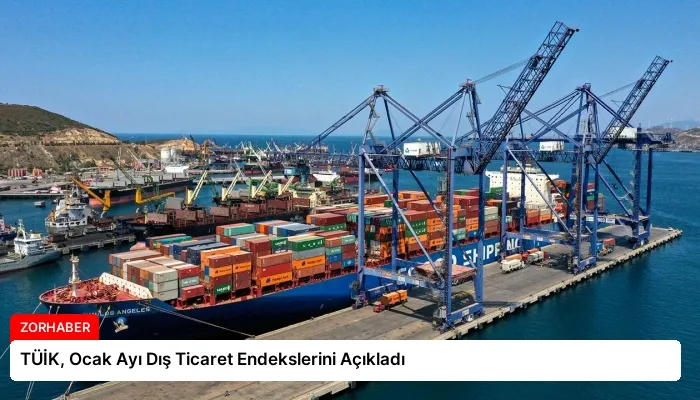 TÜİK, Ocak Ayı Dış Ticaret Endekslerini Açıkladı