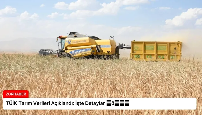 TÜİK Tarım Verileri Açıklandı: İşte Detaylar ⏬👇