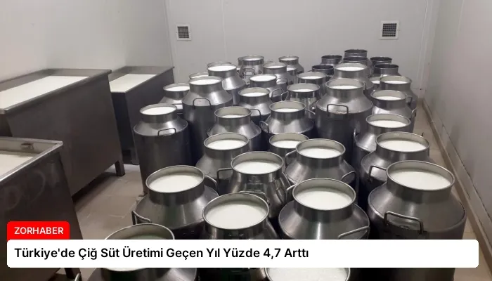 Türkiye’de Çiğ Süt Üretimi Geçen Yıl Yüzde 4,7 Arttı