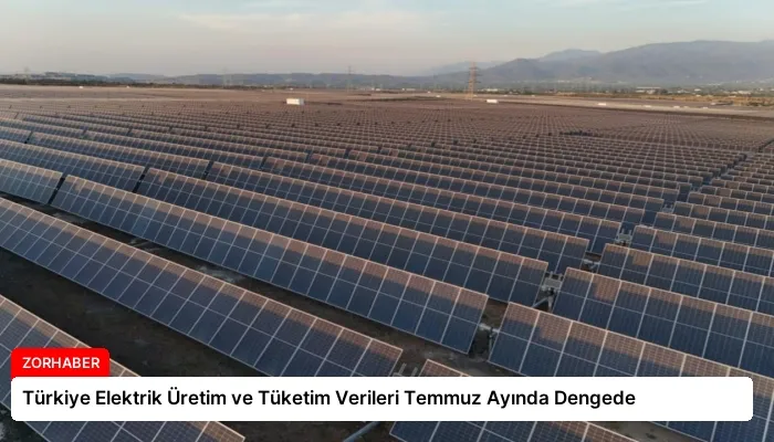 Türkiye Elektrik Üretim ve Tüketim Verileri Temmuz Ayında Dengede