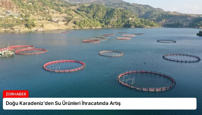 Doğu Karadeniz’den Su Ürünleri İhracatında Artış