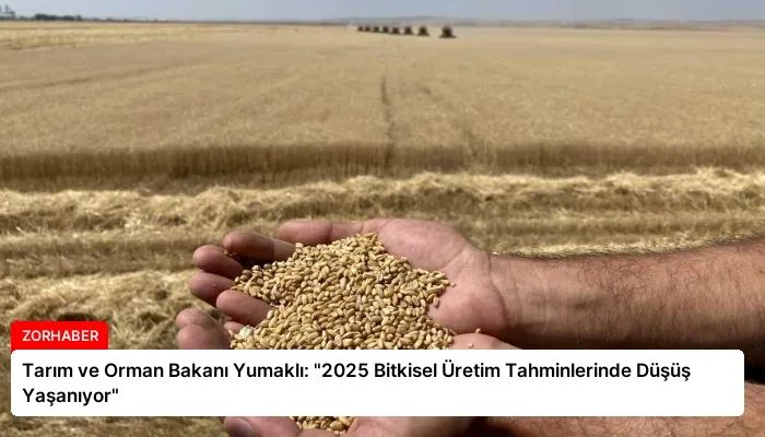 Tarım ve Orman Bakanı Yumaklı: “2025 Bitkisel Üretim Tahminlerinde Düşüş Yaşanıyor”