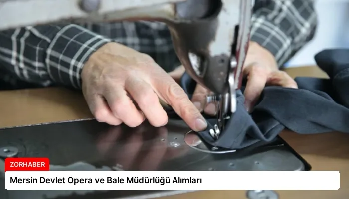 Mersin Devlet Opera ve Bale Müdürlüğü Alımları