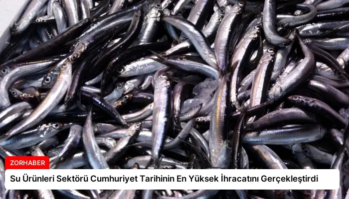 Su Ürünleri Sektörü Cumhuriyet Tarihinin En Yüksek İhracatını Gerçekleştirdi