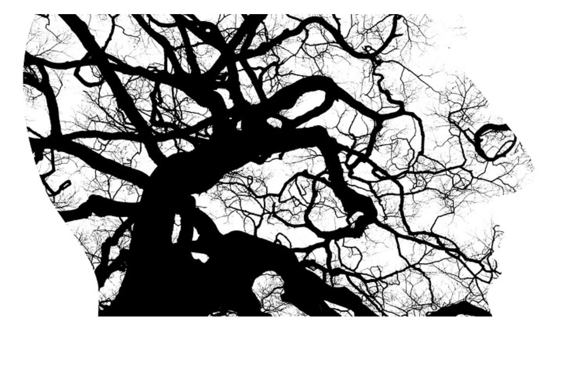 Başakşehir Psikolog – Profesyonel ve Güvenilir Psikolojik Danışmanlık