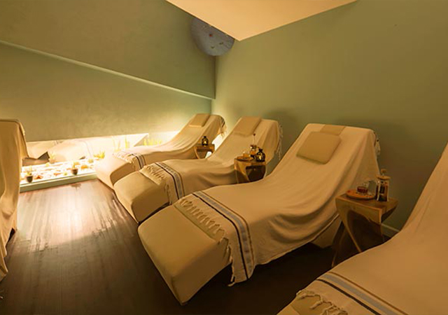 İstanbul Metropolünde Bedensel Esenlik ve Bölgesel Hizmet Standartları