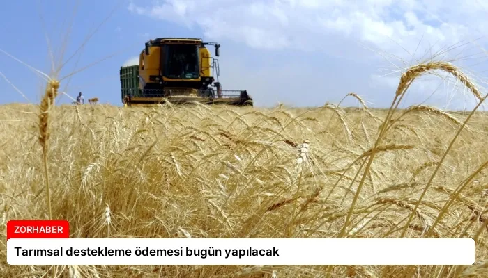 Tarımsal destekleme ödemesi bugün yapılacak