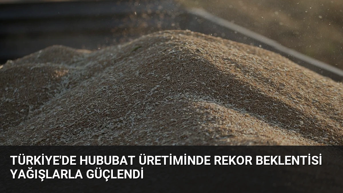 Türkiye’de Hububat Üretiminde Rekor Beklentisi Yağışlarla Güçlendi