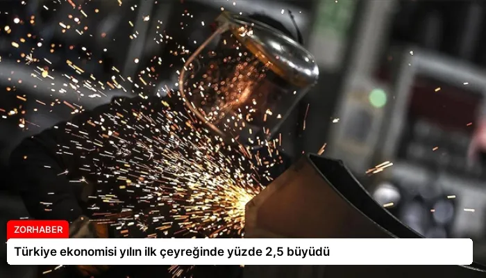 Türkiye ekonomisi yılın ilk çeyreğinde yüzde 2,5 büyüdü
