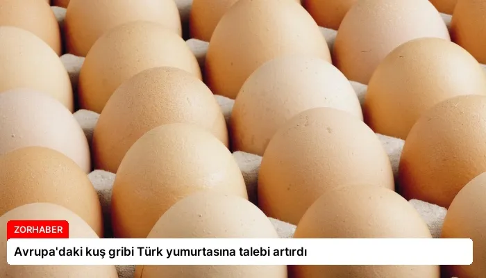 Avrupa’daki kuş gribi Türk yumurtasına talebi artırdı