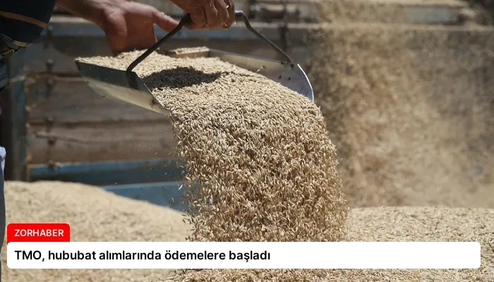 TMO, hububat alımlarında ödemelere başladı