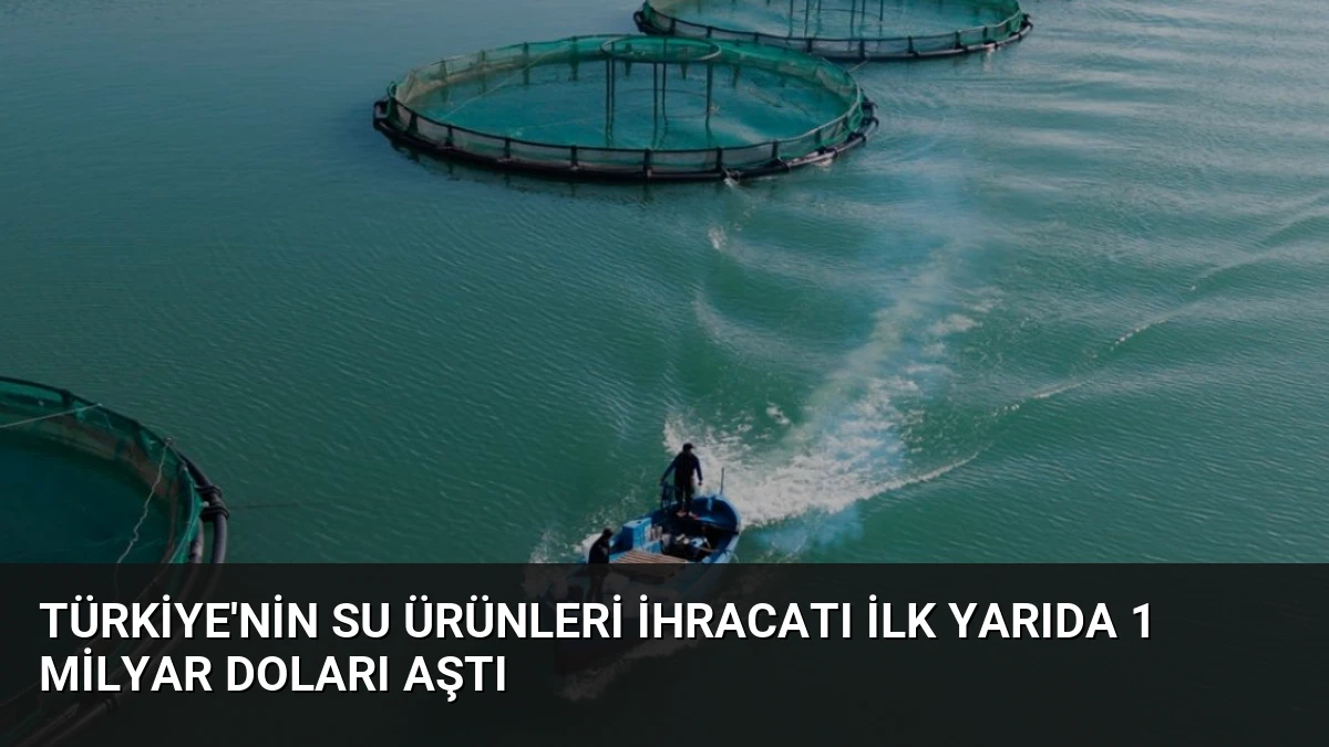 Türkiye’nin Su Ürünleri İhracatı İlk Yarıda 1 Milyar Doları Aştı