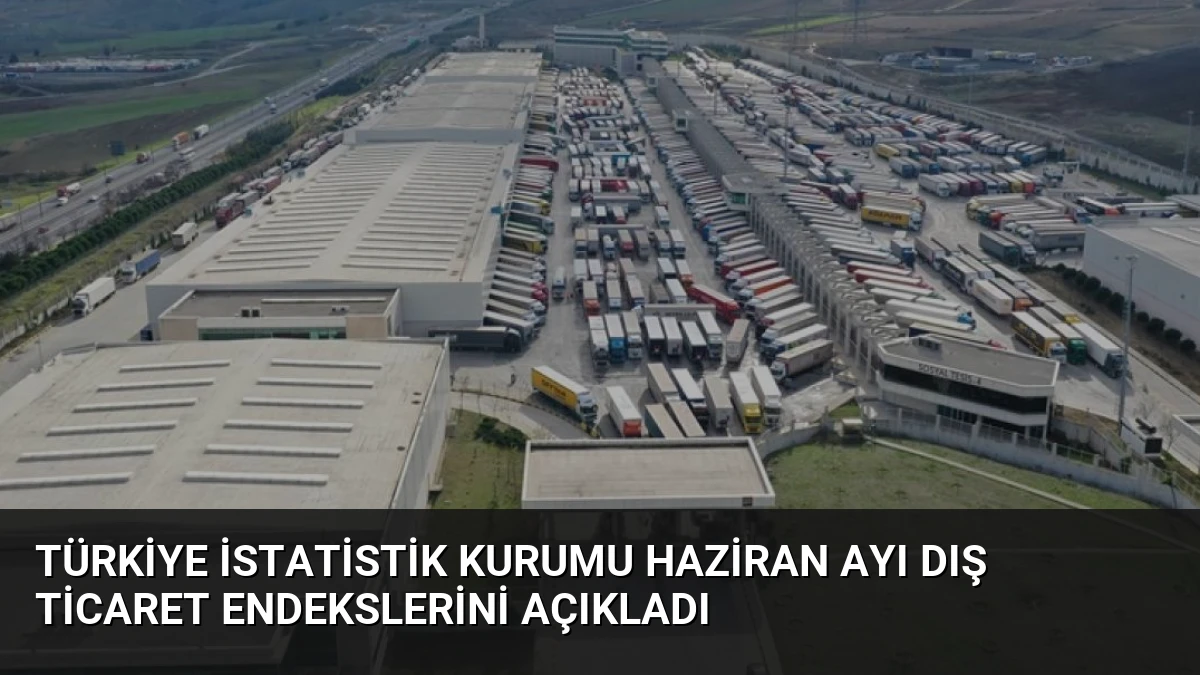 Türkiye İstatistik Kurumu Haziran Ayı Dış Ticaret Endekslerini Açıkladı