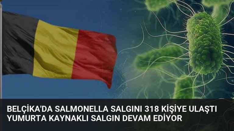 Belçika’da Salmonella Salgını 318 Kişiye Ulaştı Yumurta Kaynaklı Salgın Devam Ediyor