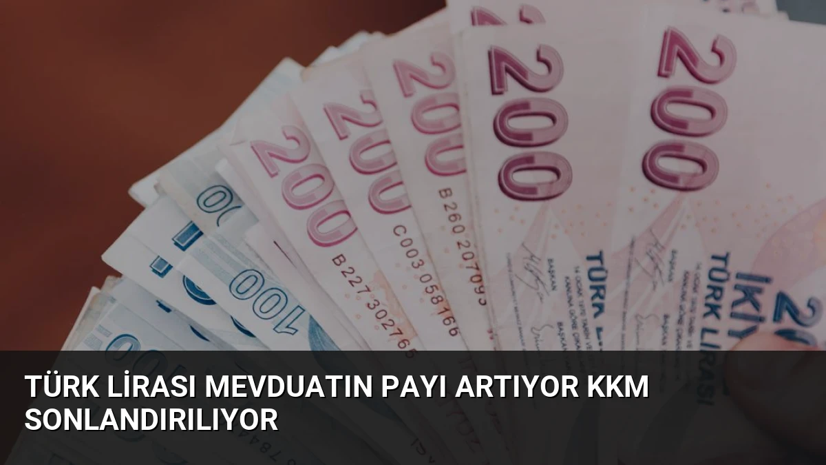 Türk Lirası Mevduatın Payı Artıyor KKM Sonlandırılıyor