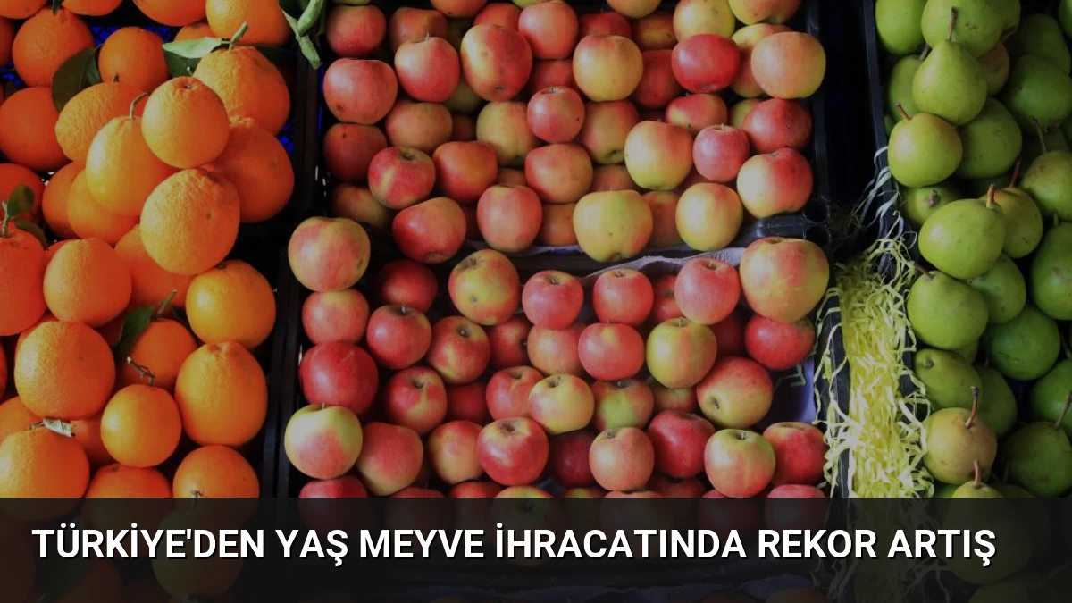 Türkiye’den Yaş Meyve İhracatında Rekor Artış